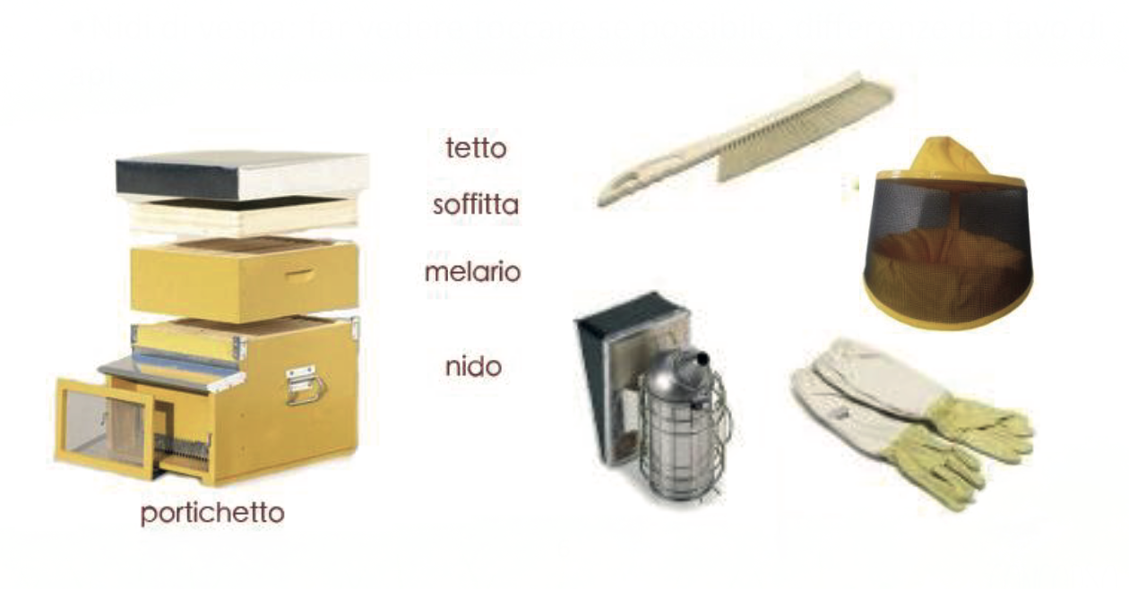 Attività apicoltori forbee 2webp
